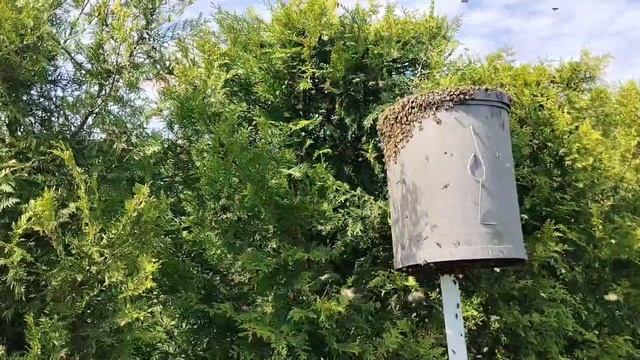 3 июня ЛОВЛЮ РОИ смотреть онлайн