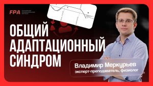 Общий адаптационный синдром | Владимир Меркурьев (FPA) | Бесплатный курс «Персональный тренер»