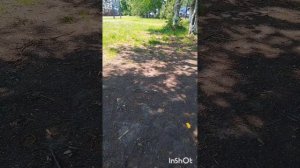 Имеющий уши да слышит! (О странных комментариях).