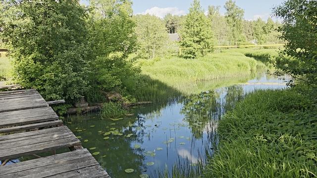 Река Востра. Вечер. ч.1. Июнь 2026 смотреть онлайн