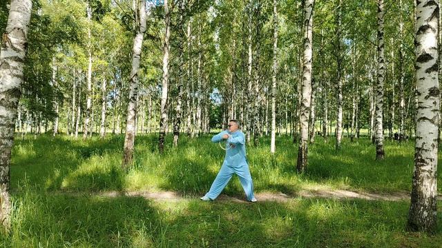Упражнения с ротанговыми кольцами Вин Чун (16)