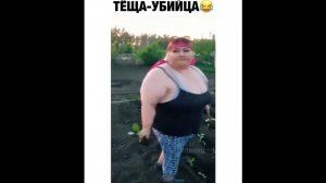 #смешныевидео -1482