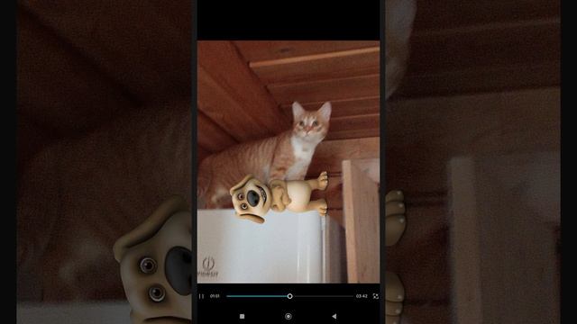 Новые самые радостные фазы
