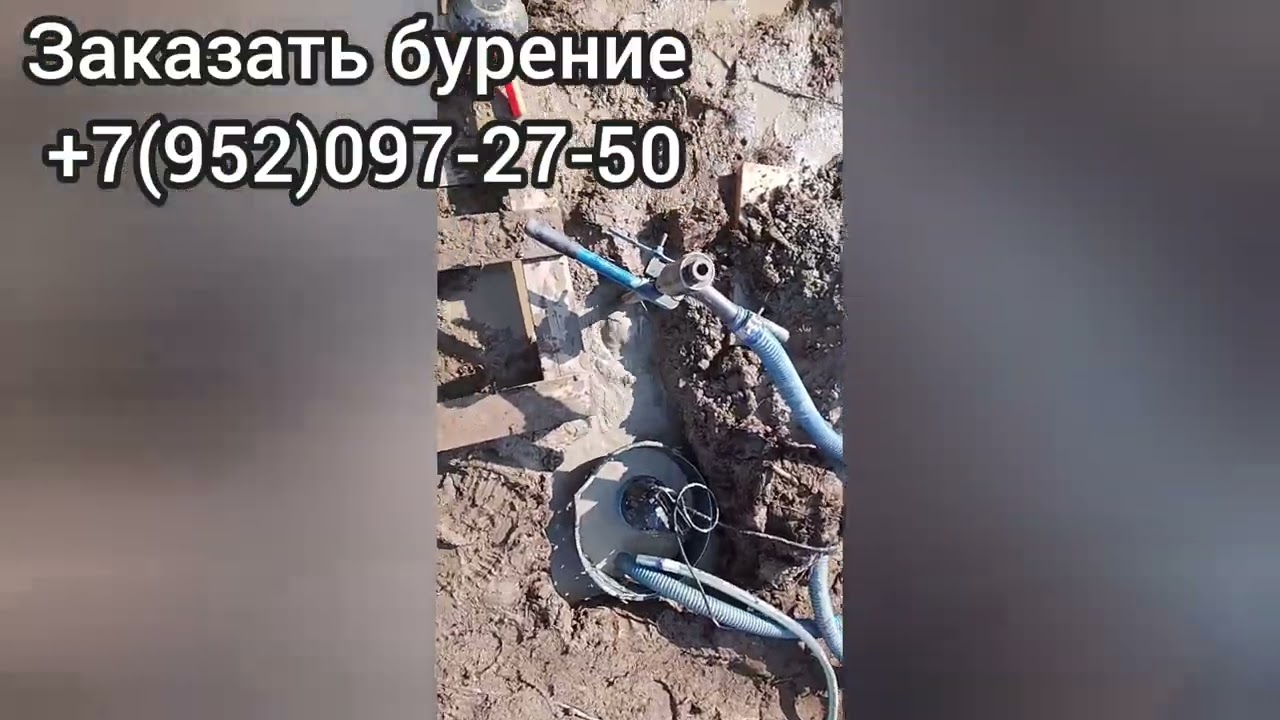 Абиссинская скважина в СНТ „Заозёрное“ — вода в окружении сосен». смотреть онлайн