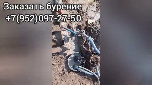 Абиссинская скважина в СНТ „Заозёрное“ — вода в окружении сосен».
