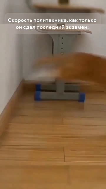 Беги, студент, беги 🏃♂️ смотреть онлайн