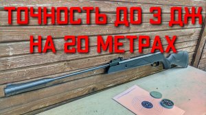 До 3 Дж точность пневматической винтовки SnowPeak SR1000S на 20 метрах