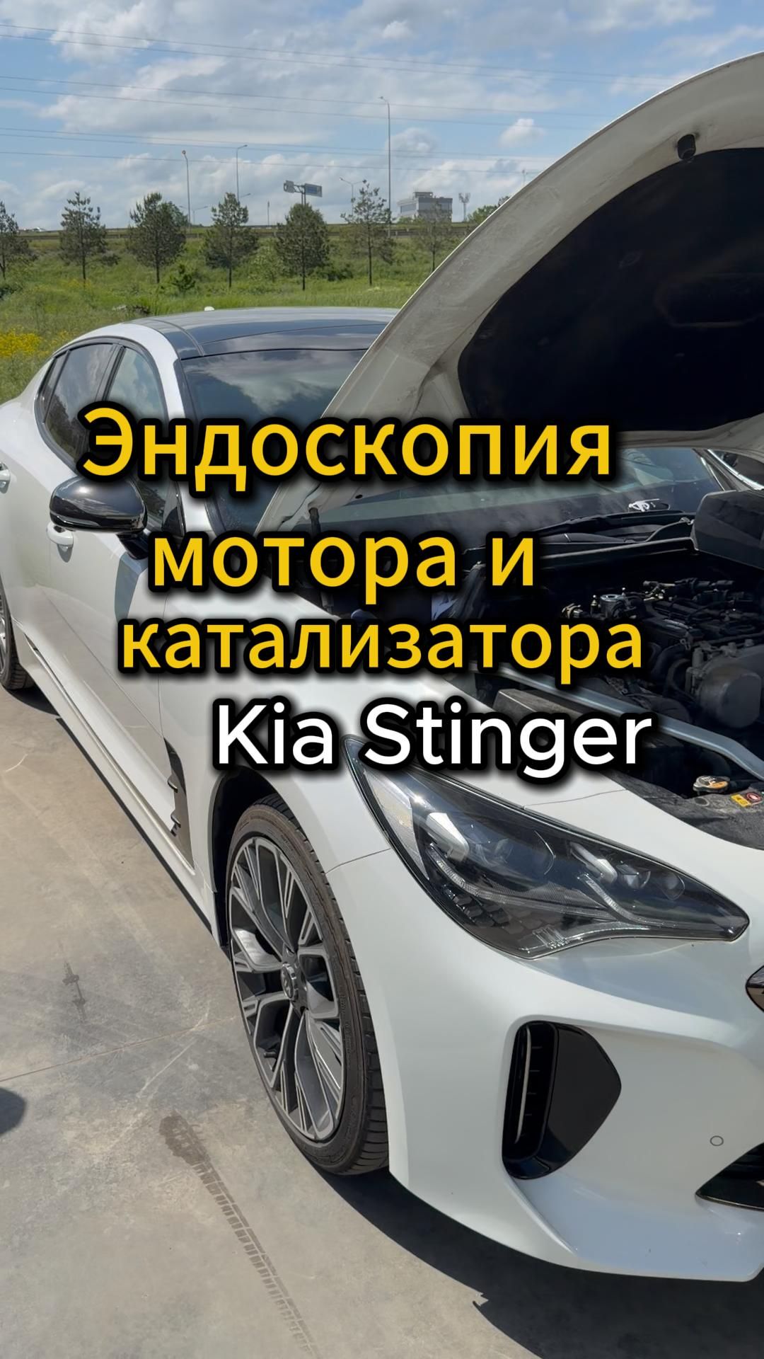Эндоскопия мотора и катализатора Kia Stinger😎