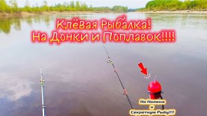 КЛЁВАЯ РЫБАЛКА на ПОПЛАВОК и Донки! НА СЕКРЕТНОМ БЫКЕ!!! 23 мая 26 года!!!