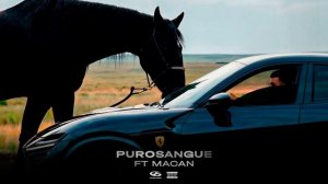 Jakone, MACAN - Purosangue