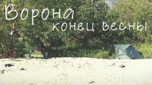 Сплав по реке Ворона май 2026