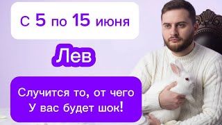 Лев - 5-15 июня. Таро. Случится то, от чего у вас будет шок!