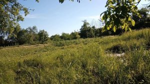 Показываю  полисадник после ! Сижу в огороде и вам рассказываю. Юг России🍒