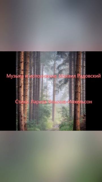 Одним Утром  /  One Morning