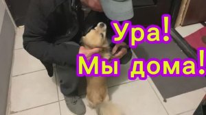 Ураа! Мы дома!👍👌😍