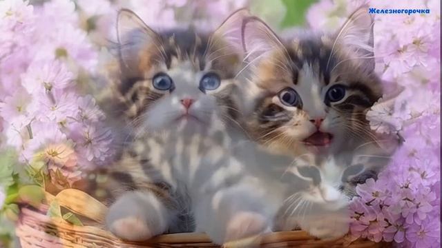 ДРУЗЬЯ МОИ !!! С ДОБРЫМ СОЛНЕЧНЫМ УТРОМ И ХОРОШИМ ДНЕИ !!! смотреть онлайн