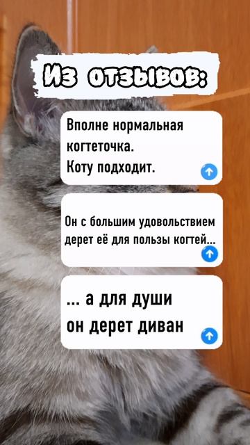 Таков путь