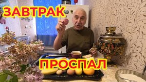 «Жизнь Пенсионера».. Сегодня Проспал, Завтракаю, Болтаю, Чавкаю. Критикуйте
