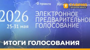 В Херсонской области подвели итоги предварительного голосования «Единой России»