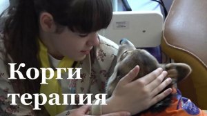 Воспитанники центра «Возрождение»  прошли терапию с корги-отрядом