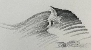 пошли в кото проект