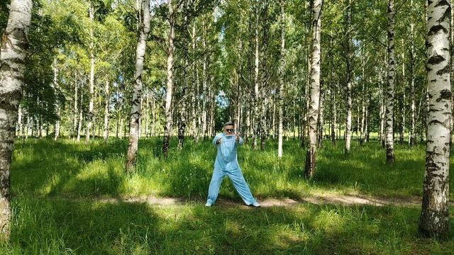 Упражнения с ротанговыми кольцами Вин Чун (13)