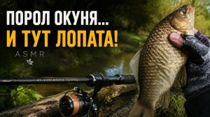Новый спиннинг ADMIRAL Chernaya на поклёвках и вываживании – мормышинг. ASMR рыбалка.