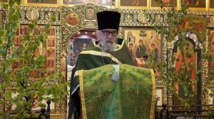 Отец Алексий Фокин_ПРОПОВЕДЬ_ЕВАНГЕЛИЕ ДНЯ_02.06.2026