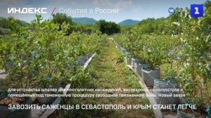 Завозить саженцы в Севастополь и Крым станет легче