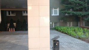 Гуляли