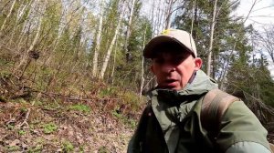 Форель на воблер 45 мм № 40 и воблеры 55 мм № 29 и № 31 от Mr.Musurok 🔥
