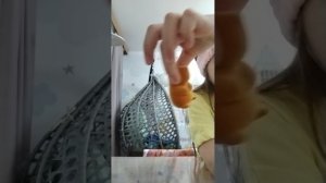 VID_20260603_185341.mp4