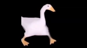 1000005961.mp4