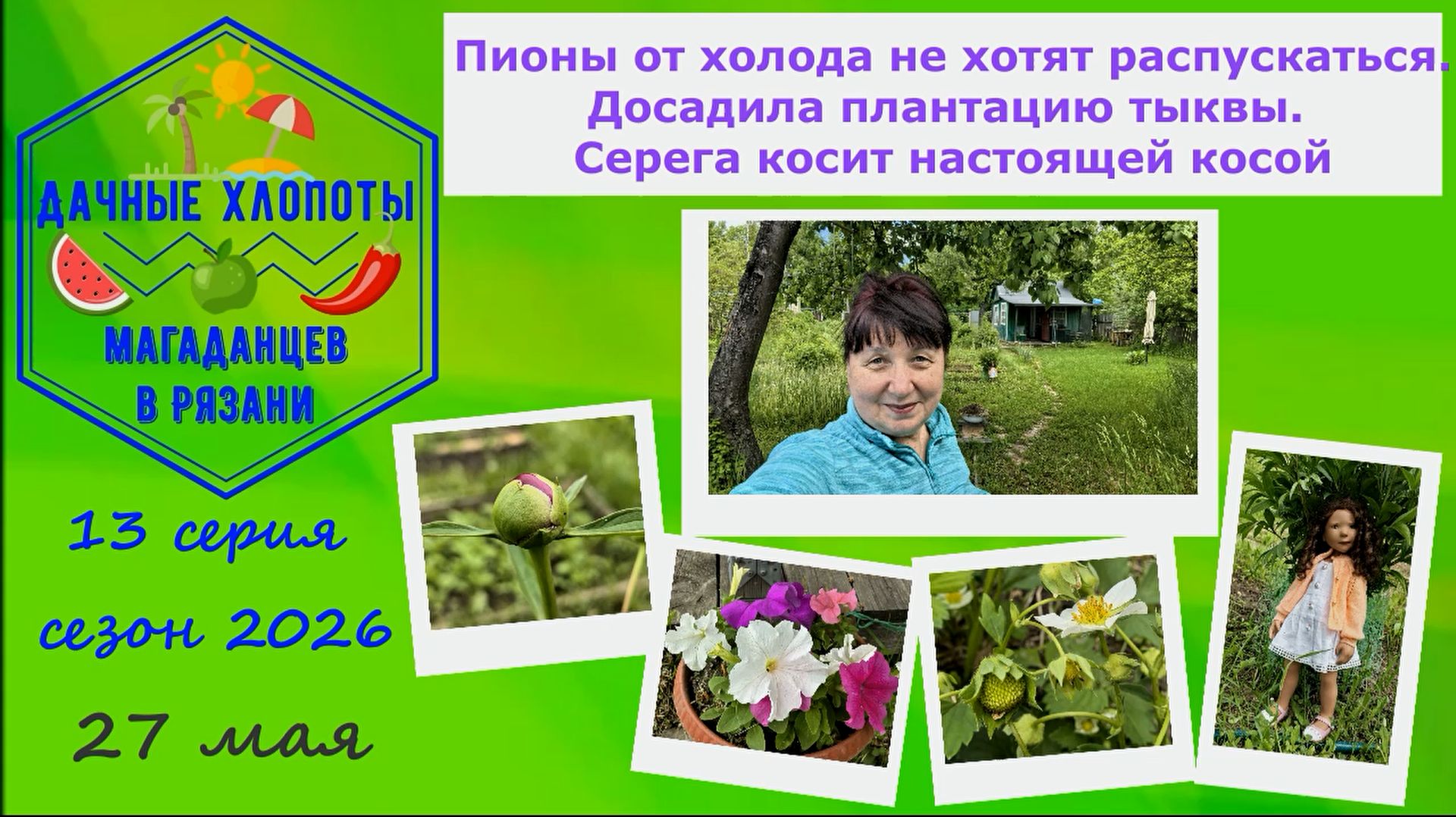 Пионы от холода не хотят распускаться. Моя плантация тыквы. Серега косит настоящей косой.