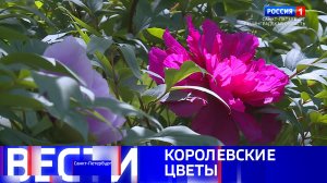 Вести Санкт-Петербург. Выпуск 09.30 от 03.06.2026