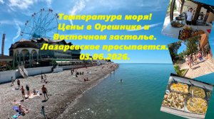 Температура моря, цены в столовых! Ролик по ссылке в описании!  https://vk.com/wall-211676240_410656