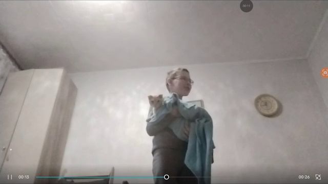 человек изменял человеку и получился не человек а кот (очень печальная история 😭😭😭)