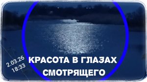 «Луна над прудом… Не забывайте оглядываться по сторонам»