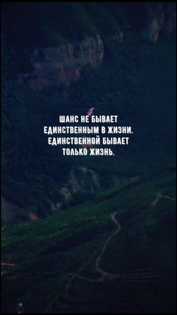 #1090 Цитата дня. Мотивация.