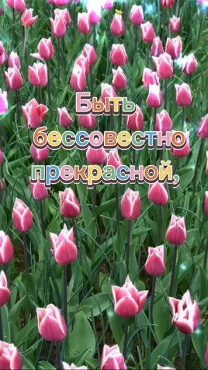 цветы
