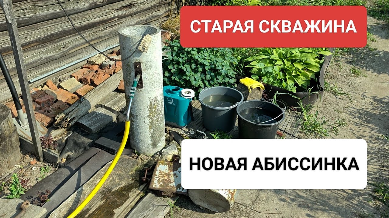 Старая скважина отжила своё - дорогу новой абиссинской скважине! смотреть онлайн