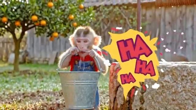 Жизнь маленькой обезьянки 25часть🥰почему обезьянка плакала???? смотреть онлайн