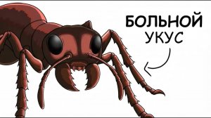 Ты – Пуля-Муравей (И ЭТО ВСЯ ТВОЯ ЖИЗНЬ)