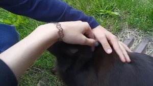 вчерашняя поездка в село Неверкино)