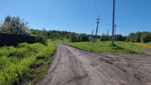 Дачные дни, посадила зелень, фасоль, кабачки😊😊😊