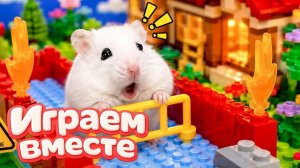 ХОМЯК ВЫБИРАЕТСЯ ИЗ СЕКРЕТНОЙ ХОМЯЧЕЙ ТЮРЬМЫ ! Забавные животные ! Супер лабиринт для хомяка №2