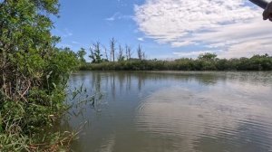 Рыбалка на ПОПЛАВОК с НАВАХО (Олта), 7.00м, 2-12г. На что ЛУЧШЕ клюёт КАРАСЬ