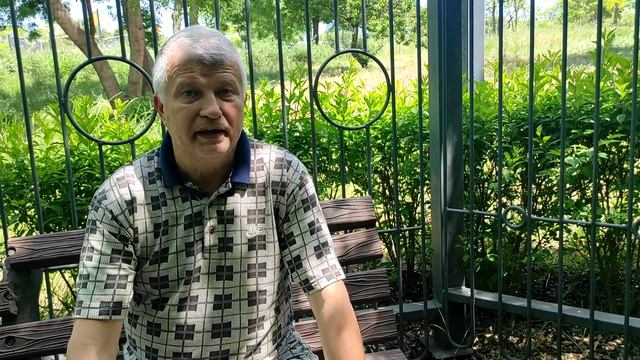 Угостили собачек смотреть онлайн