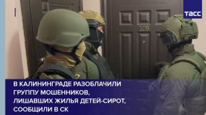В Калининграде разоблачили группу мошенников, лишавших жилья детей-сирот, сообщили в СК