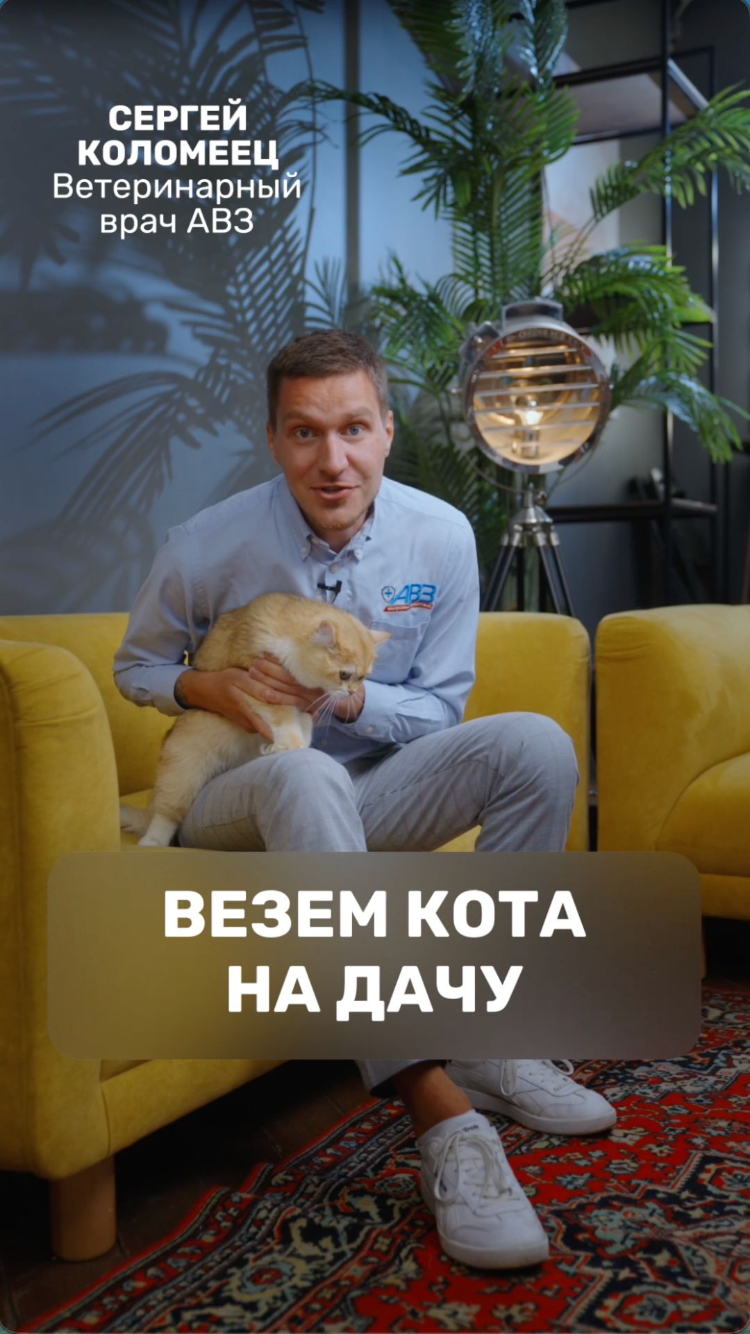 Везем кота на дачу